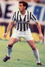 Scirea