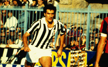 Scirea